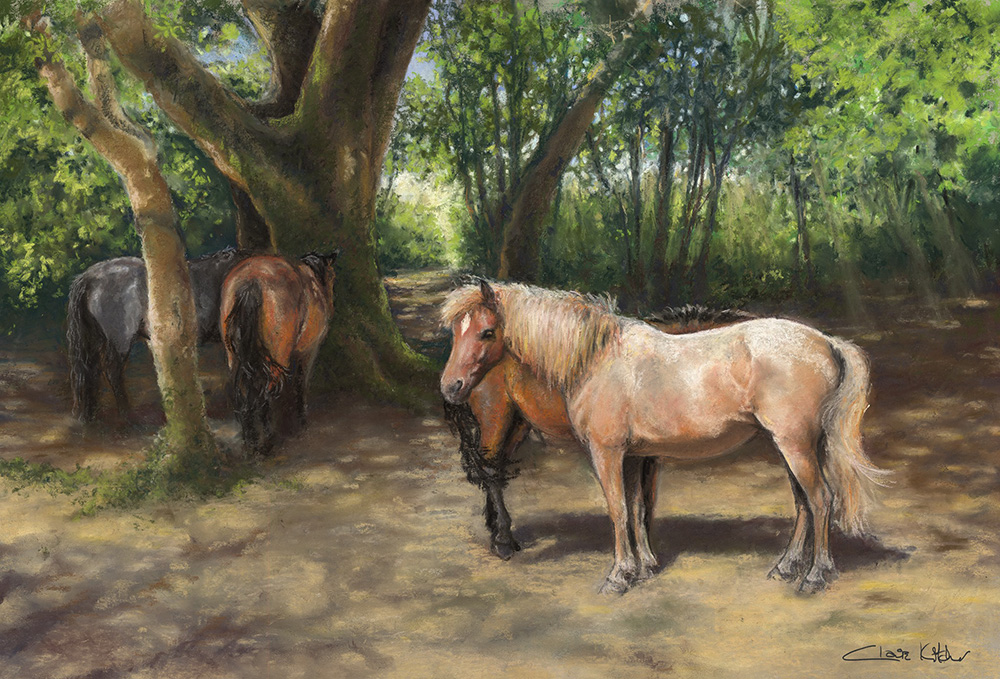 Shading in a New Forest Copse
Designed and sold by Claire Kitcher
New Forest ponies taking the cool shade of a beech & holly copse at Wootton in the New Forest.